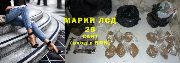 ГАЛЛЮЦИНОГЕННЫЕ ГРИБЫ Надым